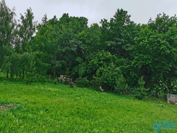 Участок под лпх, Деревня Синило Лугово-слободской с/с, фотография 2