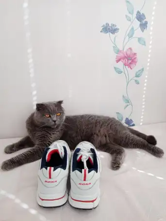 Продам: кроссовки BONA, фотография 5