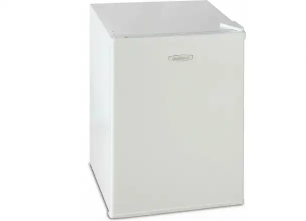 Однокамерный холодильник Бирюса 70, фотография 2