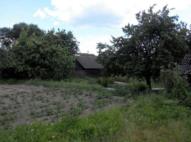Участок с домом д.Бабий лес, фотография 5