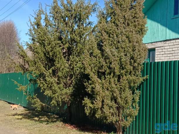 Хороший дом кирпич, агрогородок «Горбовичи», фотография 4