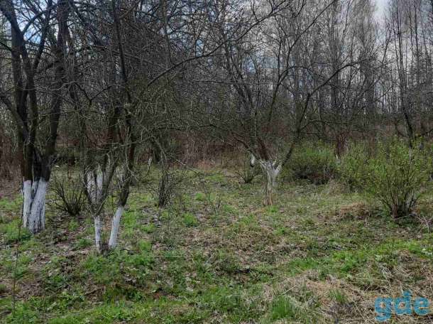 Продам земельный участок, Мойсеевка, фотография 5