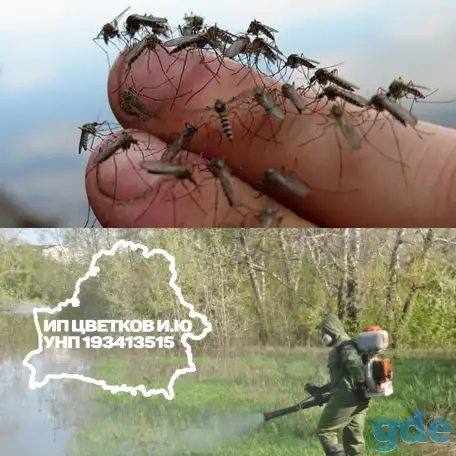 Ларвицидная обработка от комаров, мошки , гнуса в Беларуси!, фотография 1