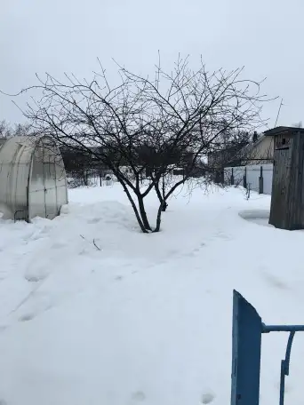 Пол дома, фотография 9