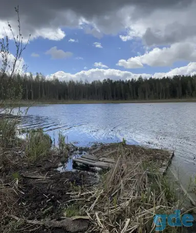 Продажа участков, Фариново, Зайково, фотография 3