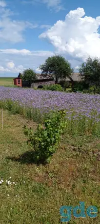Продам дом, деревня Приямино, Борисовский район, Минская область, фотография 8