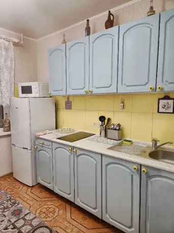 Двухкомнатная квартира у метро Пушкинская, фотография 4