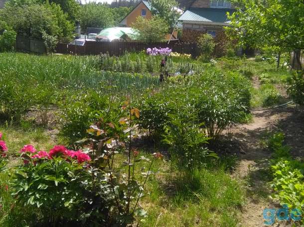 продам дачу, фотография 4