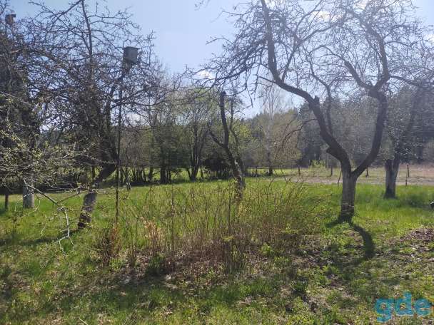 Продам, д.Домейки, фотография 7