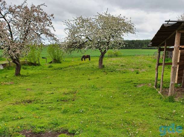 домик на окраине г.Белынич, фотография 4