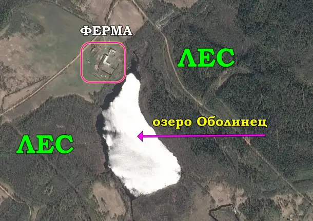 Продается фермерское хозяйство., фотография 11