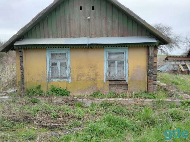 Участок с ветхим домом, Деревня Рябиновая, фотография 5