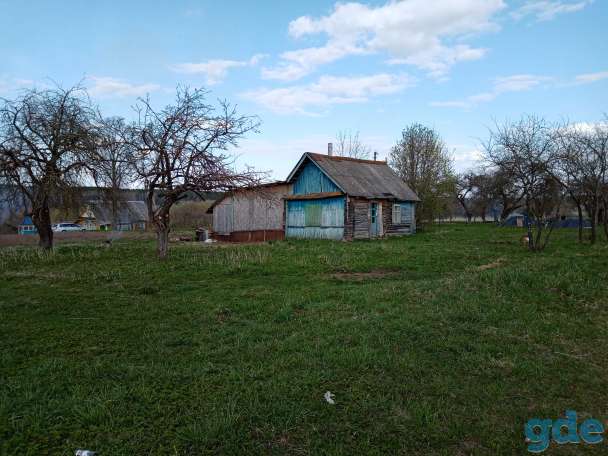 Участок на берегу Западной Двины 30 км от Витебска, фотография 4
