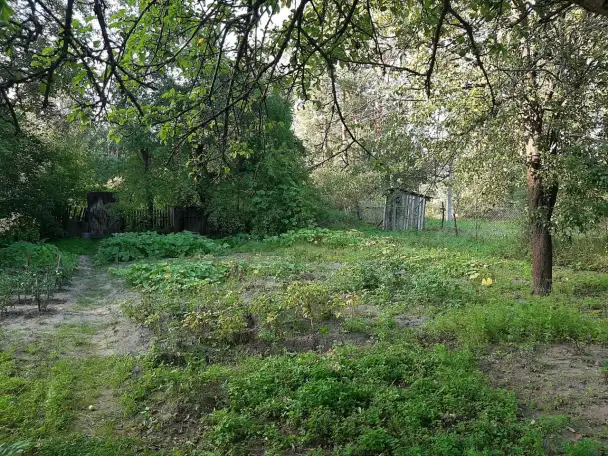Продам дачу, фотография 5