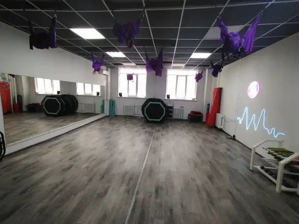 Продажа готового бизнеса - студия аэройоги и фитнеса, фотография 1