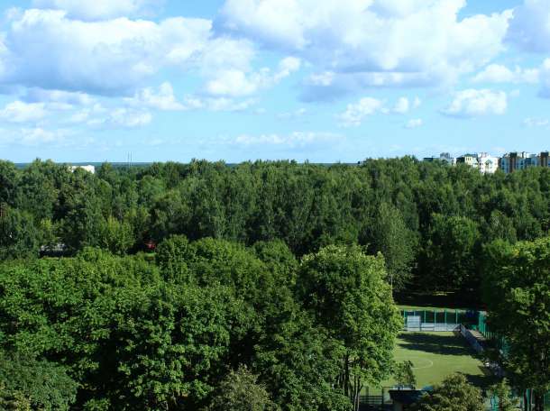 Продаю 3-хкомнатную квартиру с балконом в центре города Жодино без посредников, фотография 9
