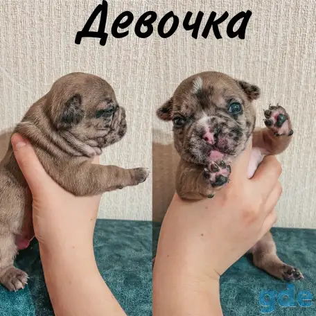 Французские булочки, фотография 7