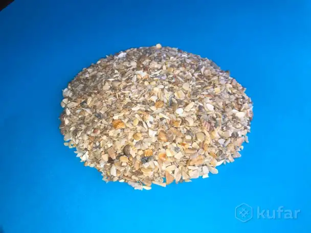 Ракушка кормоваяКаспийская фасовка 2кг. , 50кг. , 1050кг., фотография 1