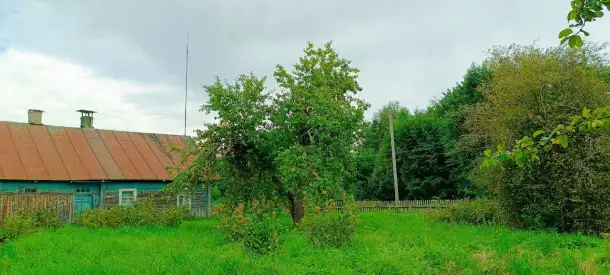 Продается крепкий дом по адресу: Минская область, Воложинский район, Вишневский сельсовет, дер. Новоселки, дом 69, фотография 6