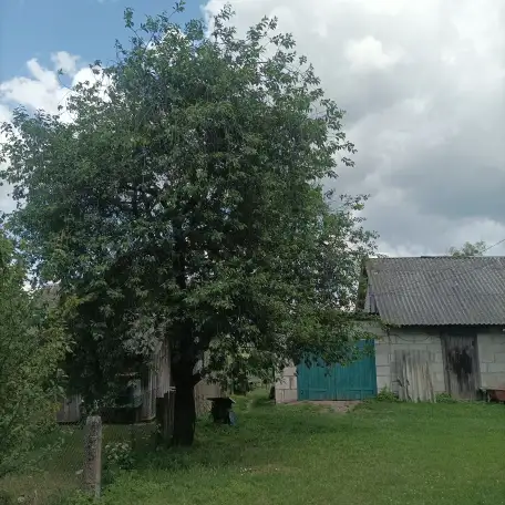 Продам квартиру, Острино ул. Терешковая д.1., фотография 4