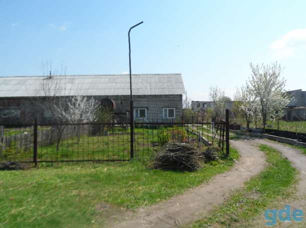 продам дом с огромным участком земли, гомельская обл.г жлобин д большие роги ,ул.степная д 69, фотография 7