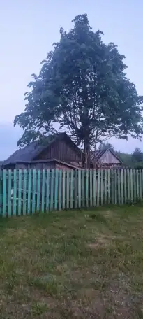 продается дом для любителей природы и охоты, фотография 2