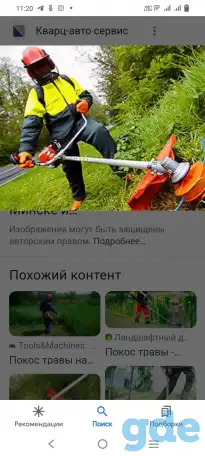 Обрезка деревьев. ПОКОС ТРАВЫ.НЕДОРОГО!!!, фотография 1