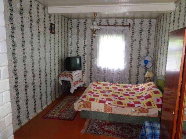 Деревянный дом в заповедной зоне (Беловежская Пуща), фотография 1