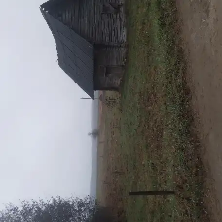 Продается участок, Минская обл воложинский район д.колдыки, фотография 3