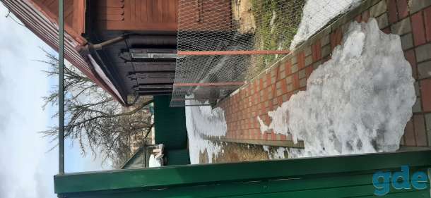 Cдам пол дома., фотография 2