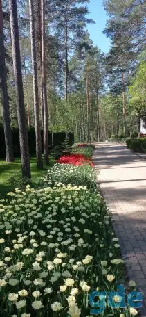 Услуги по озеленению, ландшафтному дизайну и благоустройству, фотография 4
