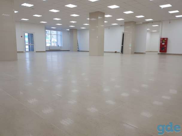 250 мк аренда в тц интерплаза, ул.Интернациональная 53Б, фотография 2
