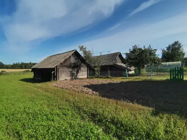 Продажа дома в деревне с хоз. Постройками и большим огородом. Рядом озеро с рыбой и лес с ягодами и грибами., фотография 5
