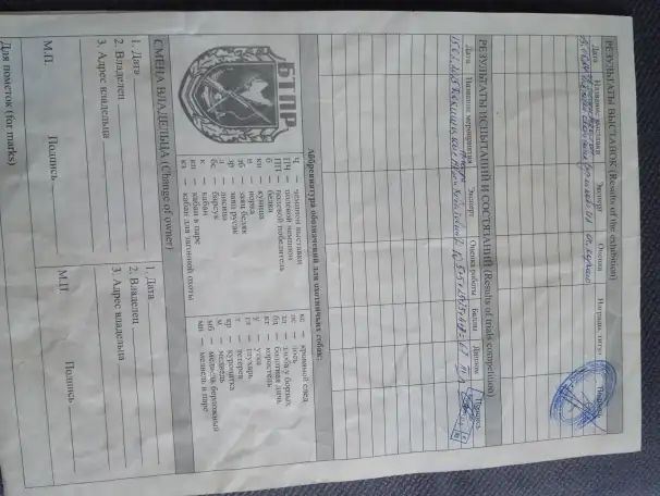 Продажа, фотография 1