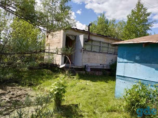 Продам дачу 10 соток, Бецкое, Полоцкий район, СТ Журавинка, фотография 5