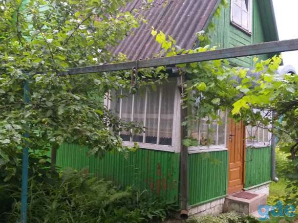 Продам дачу, СТ Родничок, Тарусичи, Гродненский район, фотография 3