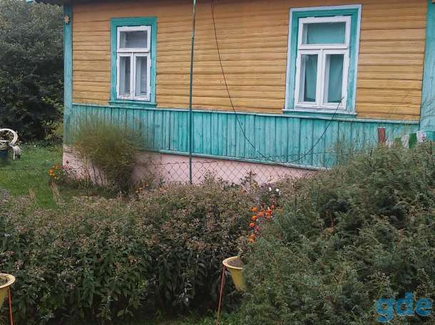 Продаю срочно, фотография 1