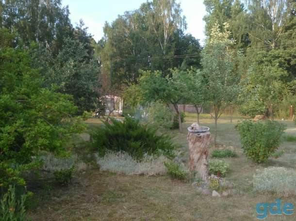 Продажа жилого дома, Брестская обл, Ляховичский район, фотография 2