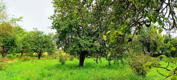 Продается крепкий дом по адресу: Минская область, Воложинский район, Вишневский сельсовет, дер. Новоселки, дом 69, фотография 9