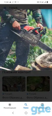 Обрезка деревьев. Недорого., фотография 4