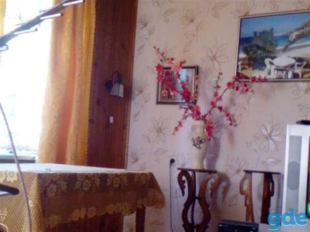 Продам дачу берегу Сожа с садом, ул.Лазурная, д.139, фотография 5