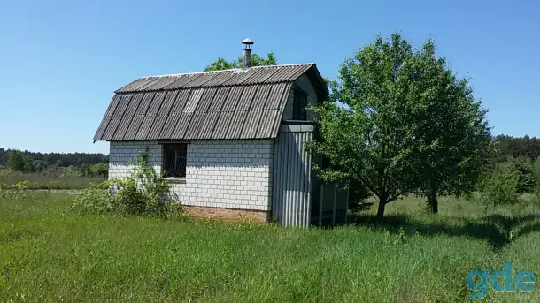 Дачный домик с постройками на участке 12 сот., фотография 2