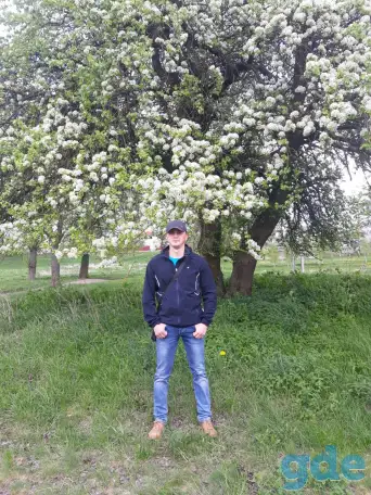 Ищу Работу, фотография 1