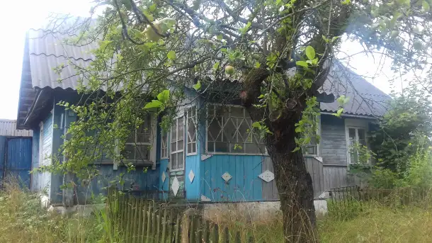 Аукцион по продаже дома в аг. Язно Миорского района, фотография 1