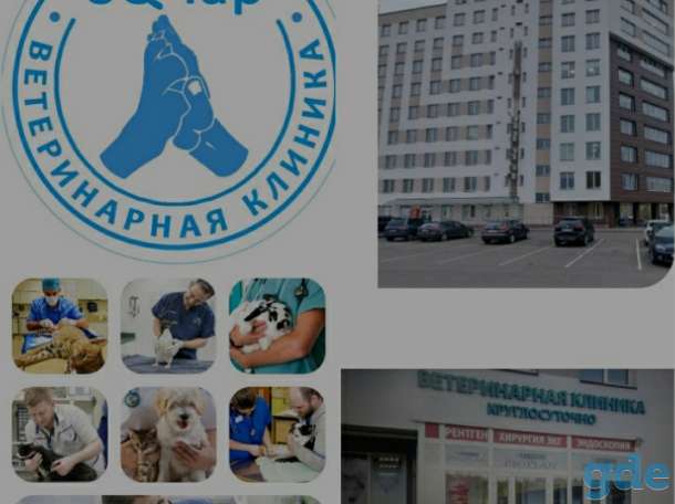 Приглашаем ветврача, фотография 1