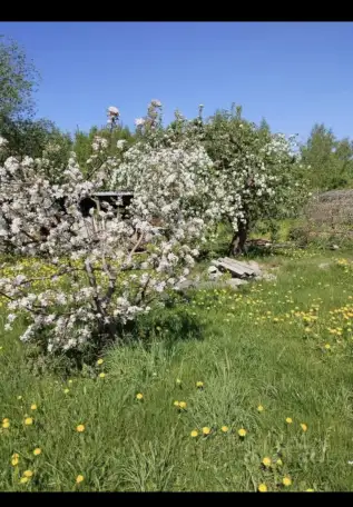 Домик в деревне, Сватковский сельсовет, район, Минская область, фотография 6