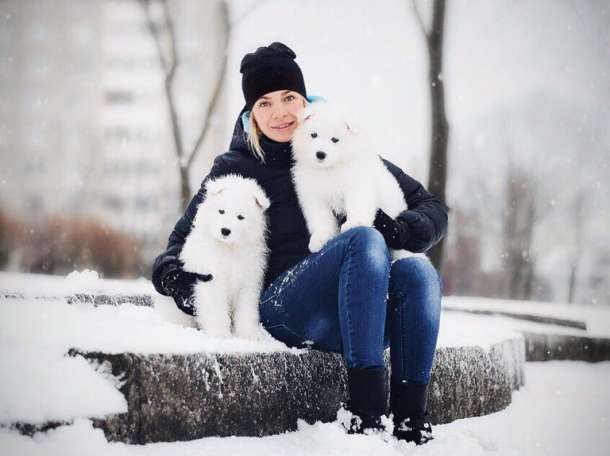 Малыши самоедики , фотография 7