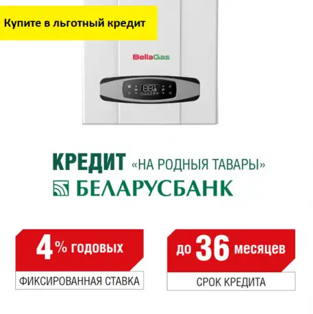 Газовый котёл BellaGas Premium 24 двухконтурный турбированный, фотография 2