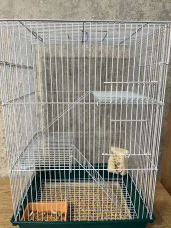 Клетка, фотография 2