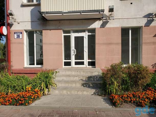 Сдам в аренду магазин 42 кв.м. в центре Витебска, фотография 2